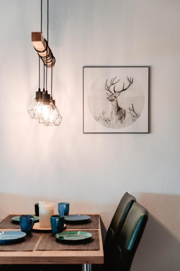Cozystay - Gemuetliche Wohnung Im Oberharz 圣安德里斯伯格 外观 照片